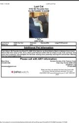 Lost Male Cat last seen Great Salerno Basin, Cove Rd, Salerno Rd, Ebbtide, Stuart, FL 34997