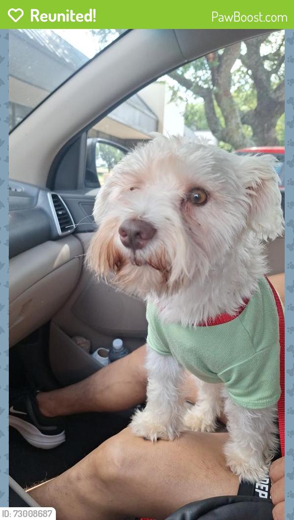 Reunited Male Dog last seen Village on the parkway, Dallas, TX 75254