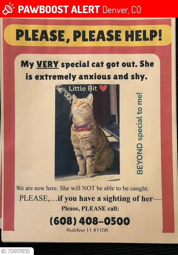 Lost Female Cat last seen Mississippi Ave and E Cherry Creek S, Denver, CO 80246