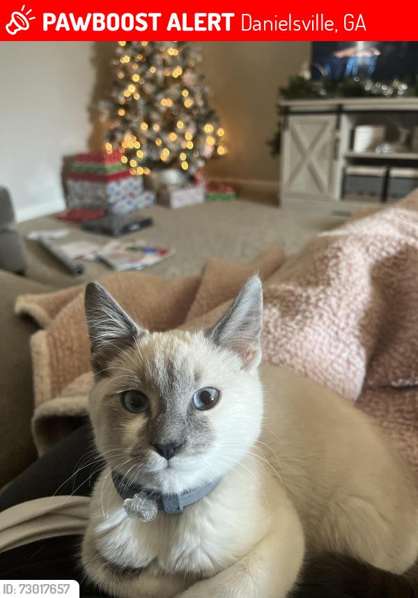 Lost Male Cat last seen Unknown, Danielsville, GA 30633