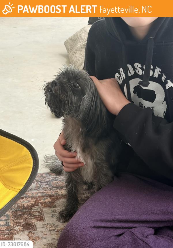 Found/Stray Male Dog last seen Abbottswood drive, Fayetteville, NC 28301
