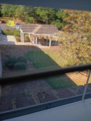 Found/Stray Unknown Cat last seen Garner rd and Creech, Garner, NC 27529