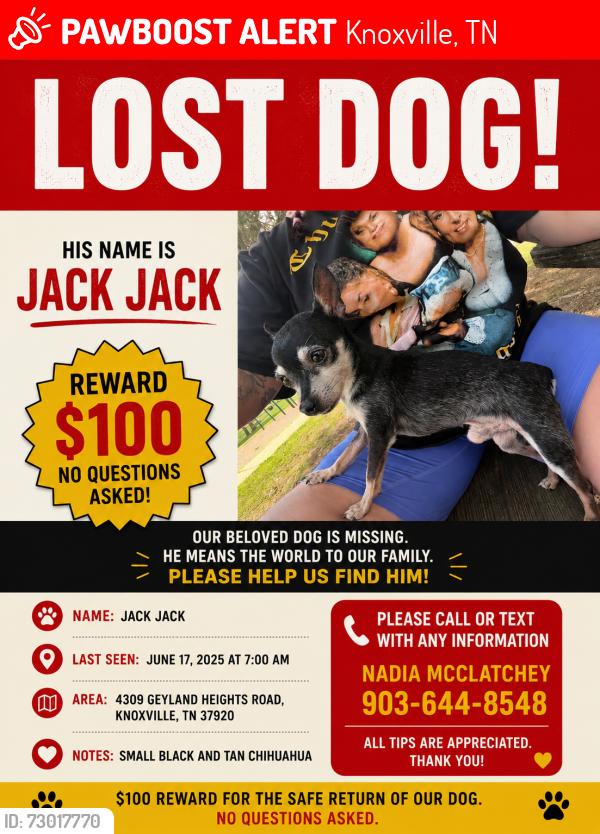Lost Male Dog last seen Near geyland heights road Knoxville Tennessee , Knoxville, TN 37920