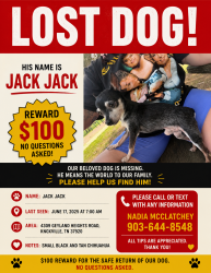 Lost Male Dog last seen Near geyland heights road Knoxville Tennessee , Knoxville, TN 37920