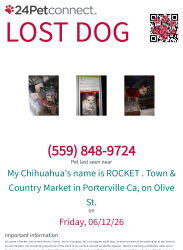 Lost Male Dog last seen Olive St , Porterville, CA 93257