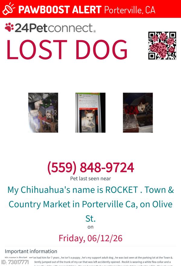 Lost Male Dog last seen Olive St , Porterville, CA 93257