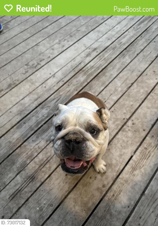 Reunited Unknown Dog last seen Ashdale & 69th Pl (Garden Home), Portland, OR 97223