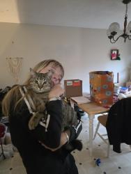 Lost Male Cat last seen Lodi Ave., Victoria, BC V8Z 6T4