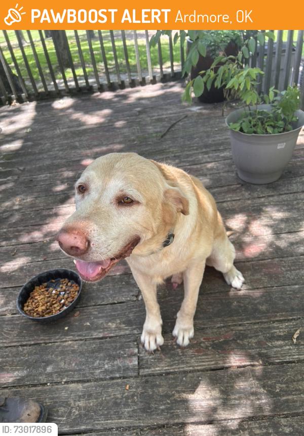 Found/Stray Male Dog last seen Hwy 199 & Provence Road, Ardmore, OK 73401