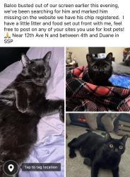 Lost Male Cat last seen 12th Ave N between 4th and Duane, South Saint Paul, MN 55075