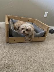Lost Female Dog last seen Between Vail and Barstow in City View, Amarillo, TX 79118