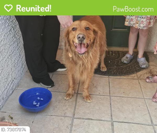 Reunited Unknown Dog last seen Abbeyville and Placerville, Paradise, NV 89123