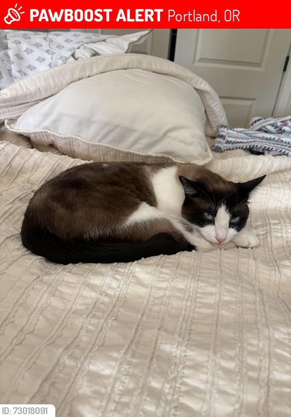 Lost Male Cat last seen SE 148th ave and SE Duke ST, Portland, OR 97236