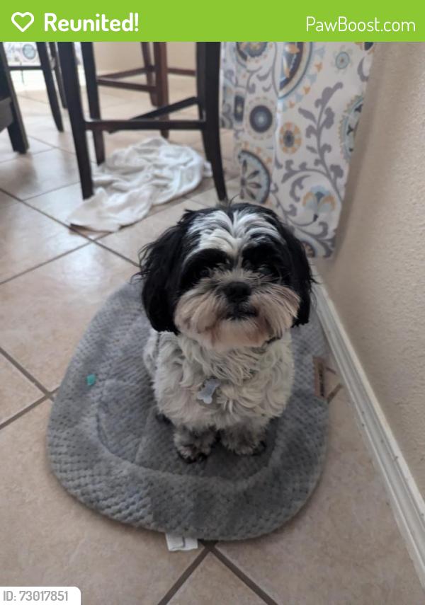 Reunited Female Dog last seen Ventanas area. , El Paso, TX 79938