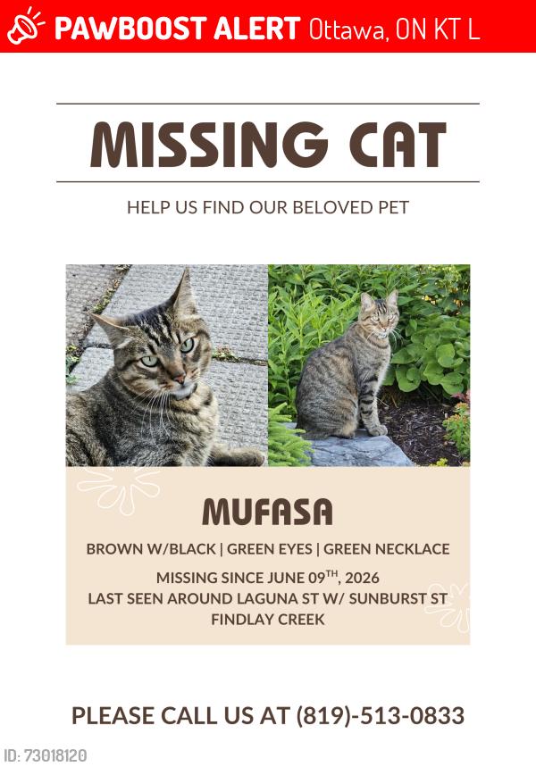 Lost Male Cat last seen Laguna st with sunburst st, Ottawa, ON K1T 0L1