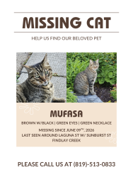 Lost Male Cat last seen Laguna st with sunburst st, Ottawa, ON K1T 0L1