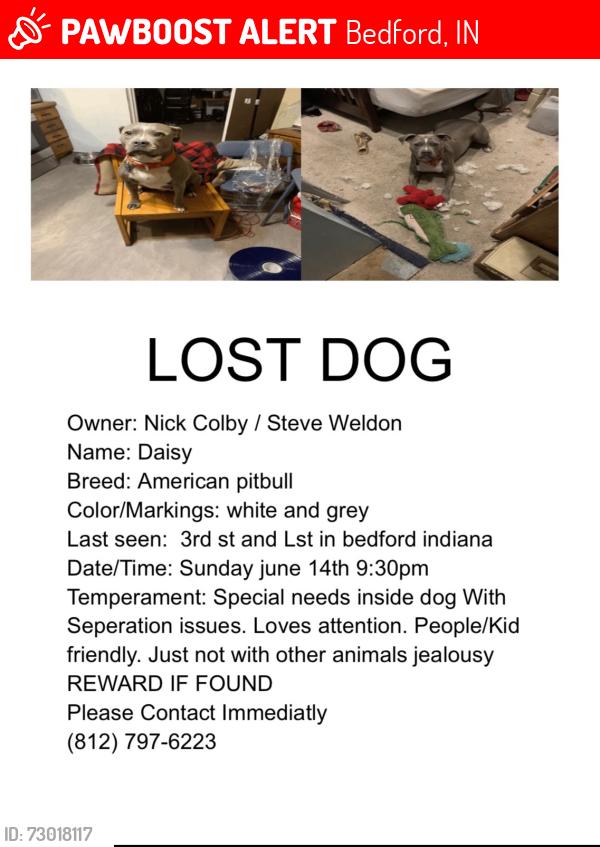 Lost Female Dog last seen 3rd and Lst, Bedford, IN 47421