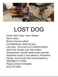 Lost Female Dog last seen 3rd and Lst, Bedford, IN 47421