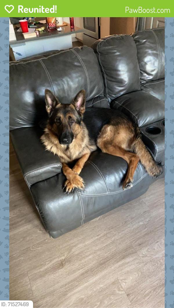 Reunited Male Dog last seen Williams ave Cleburne,tx 76033, Cleburne, TX 76033