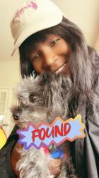 Reunited Female Dog last seen Aston ln and Woodcrest, Mansfield, TX 76063