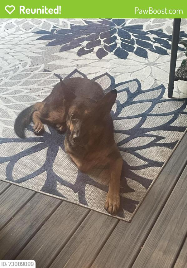 Reunited Unknown Dog last seen 113th ne and 36 th Ave, Vancouver, WA 98686