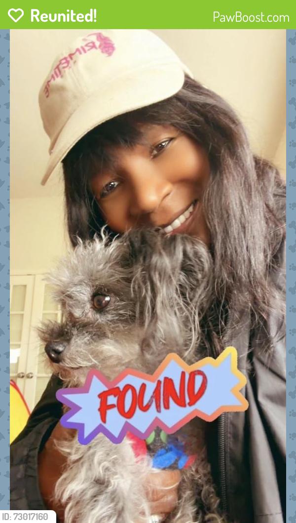 Reunited Female Dog last seen Aston ln and Woodcrest, Mansfield, TX 76063
