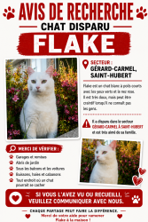 Lost Male Cat last seen Ch Chembly Cousineau , Longueuil, QC J3Y 8N7