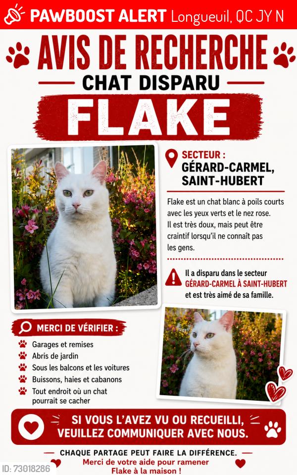 Lost Male Cat last seen Ch Chembly Cousineau , Longueuil, QC J3Y 8N7