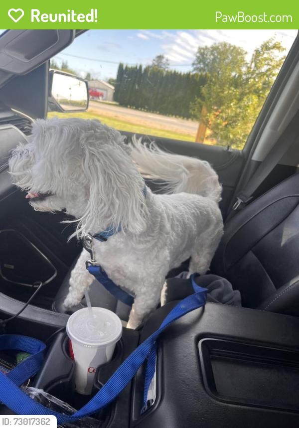 Reunited Male Dog last seen Shell Station area, Conway, WA 98273