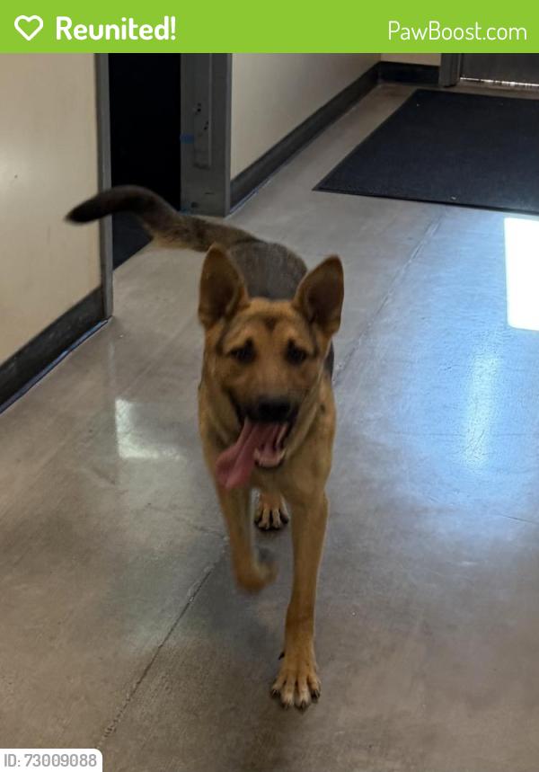 Reunited Male Dog last seen San Bernardino Valley College , San Bernardino, CA 92410