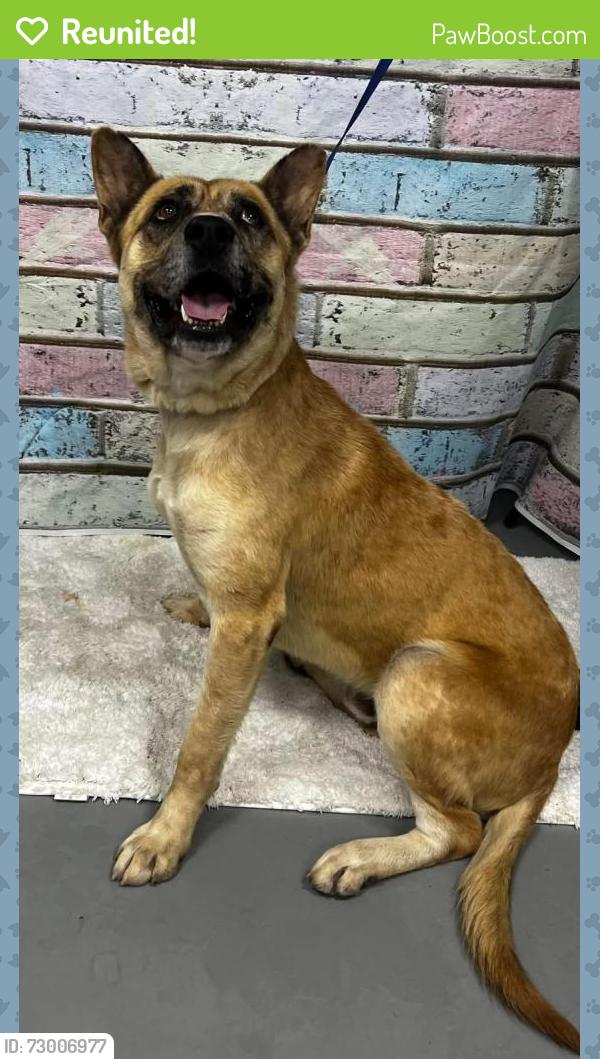 Reunited Unknown Dog last seen Located at Rockdale County Animal Service, 1506 Rockbridge Road, Conyers, GA 30012, Conyers, GA 30012