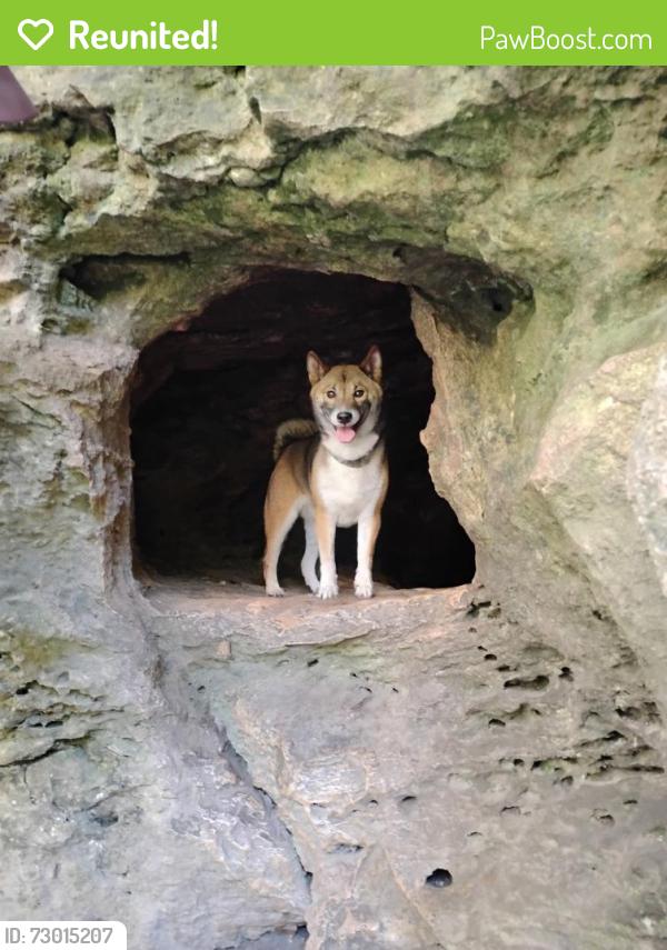 Reunited Male Dog last seen 500th Street and HWY 1, Frytown, IA 52247