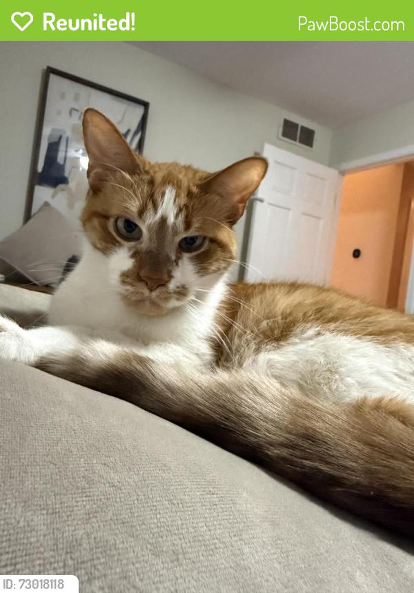 Reunited Male Cat last seen 15th and Old Ryan Rd, Oak Creek, WI 53154