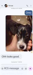 Lost Female Dog last seen Walnut st, Macon, GA 31201