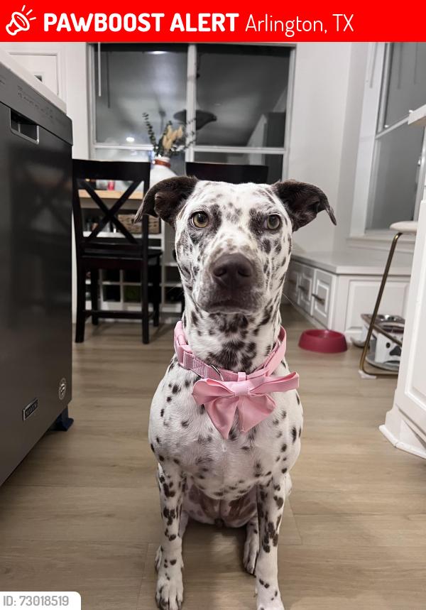 Lost Female Dog last seen Fish creek neigborhood park , Arlington, TX 76018