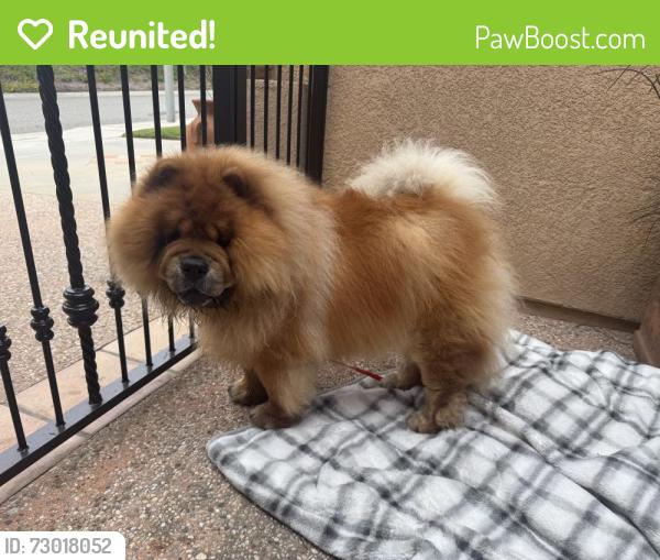 Reunited Unknown Dog last seen E Magdalena Dr, Orange, CA, Orange, CA 92867