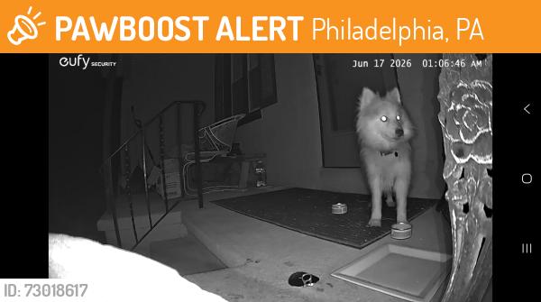 Found/Stray Unknown Dog last seen Cedar Top Rd, Reading PA 19607, Philadelphia, PA 19115