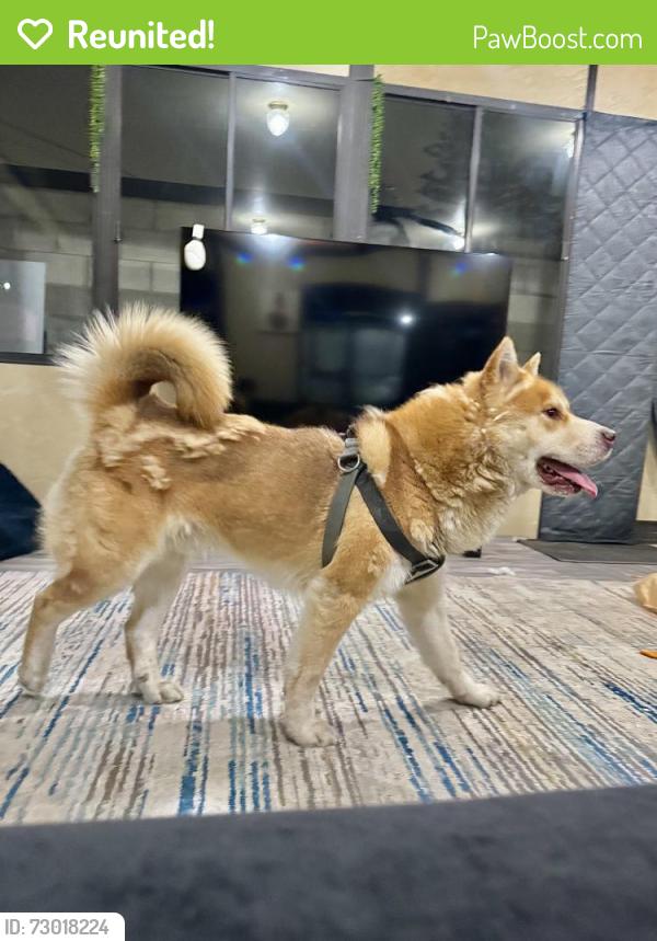 Reunited Male Dog last seen Oxnard, CA, USA, Oxnard, CA 93030
