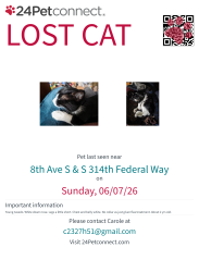 Lost Female Cat last seen 8th Ave s & S 314th St, Federal Way, WA 98003