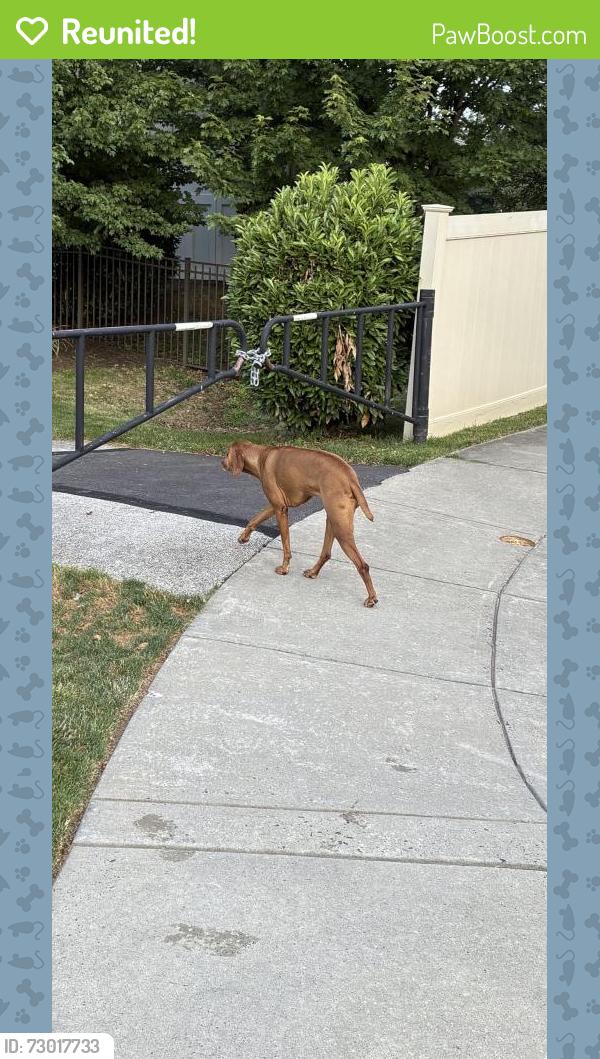 Reunited Unknown Dog last seen Killington Court, Trooper, PA 19403