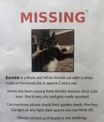 Reunited Female Cat last seen Alveley avenue , Greater Manchester, England M20