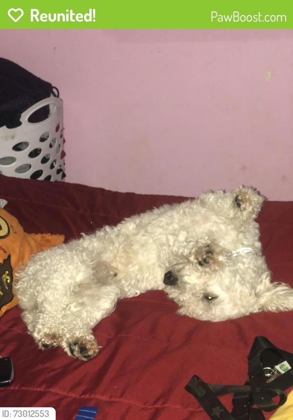 Reunited Male Dog last seen Dale blvd, Woodbridge, VA 22193