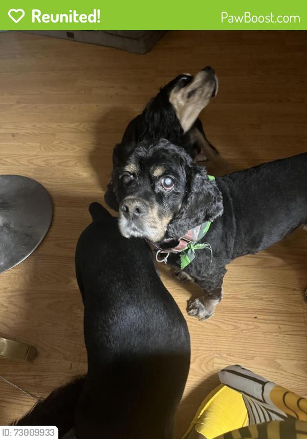 Reunited Male Dog last seen Perris , Moreno Valley, CA 92551