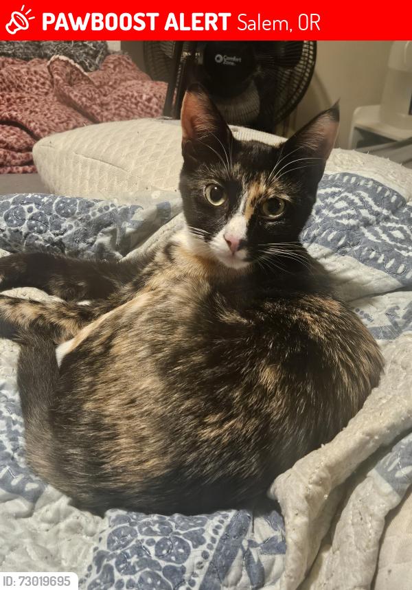 Lost Female Cat last seen Liberty and Boone, Salem, OR 97306