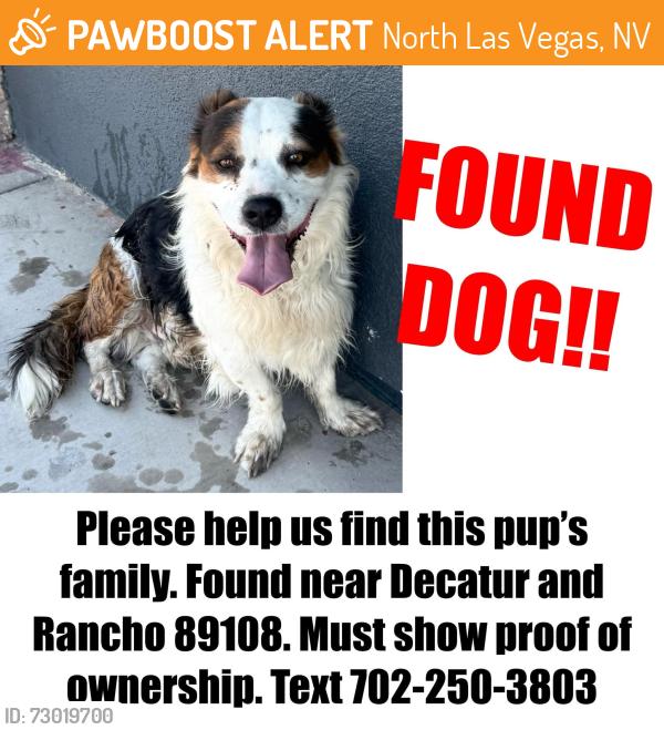 Found/Stray Unknown Dog last seen Rancho & Decatur , North Las Vegas, NV 89032