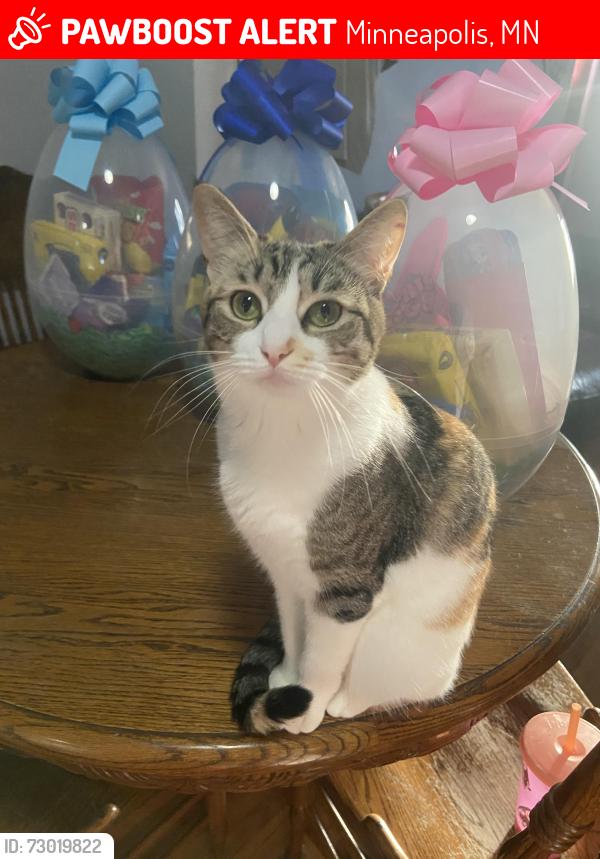 Lost Female Cat last seen 34th, Minneapolis, MN 55412