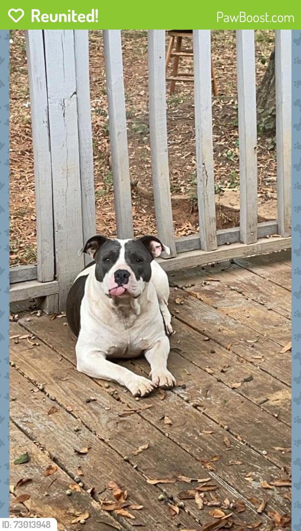 Reunited Female Dog last seen Mill St. , Cave Spring, GA 30124