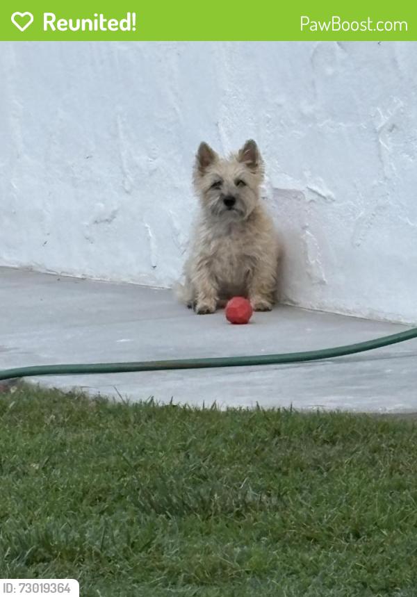 Reunited Female Dog last seen Ladera Lane, Riverside, CA 92501