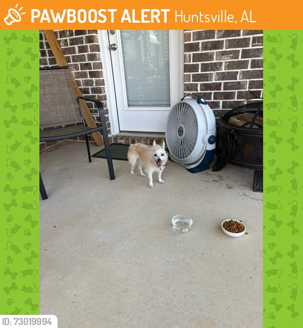 Found/Stray Female Dog last seen E River Landing Blvd, Huntsville, AL 35756
