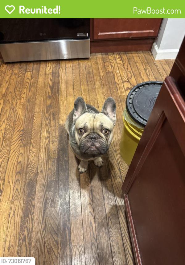 Reunited Male Dog last seen Lincoln/mckinley stem academy, Columbus, OH 43211